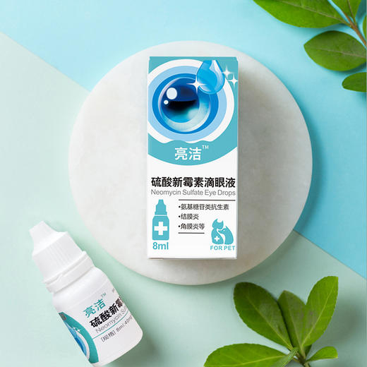 新宠之康滴眼液8ml（一件代发，省内包邮） 商品图3