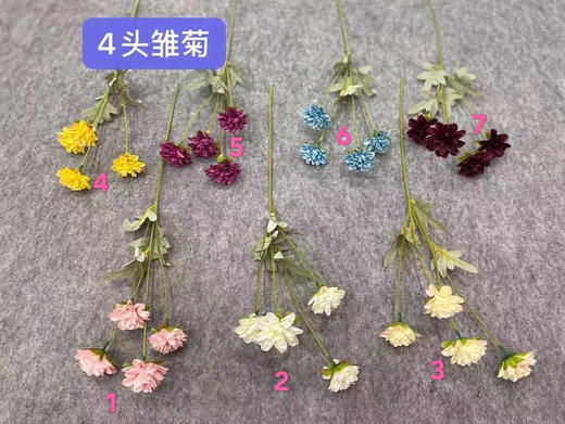 4头雏菊【运费自理】 商品图0