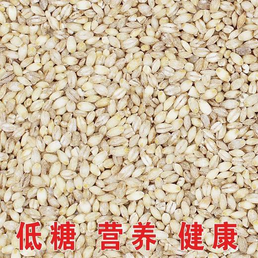 大麦米/500g 商品图1