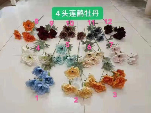 4头莲鹤牡丹【运费自理】 商品图0