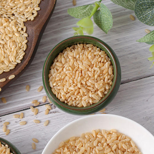 糙米/500g 商品图0
