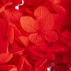 永生绣球 | 红色 商品缩略图4