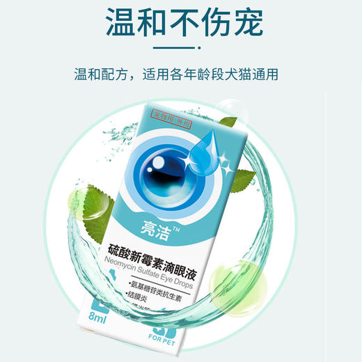 新宠之康滴眼液8ml（一件代发，省内包邮） 商品图1