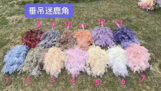 垂吊鹿角【运费自理】 商品图0