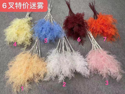 6叉迷雾【运费自理】 商品图0