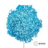 永生绣球 | 蓝色 商品缩略图0