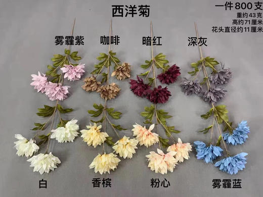 西洋菊 运费自理 全球婚庆道具商城