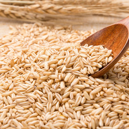 燕麦米/500g 商品图1