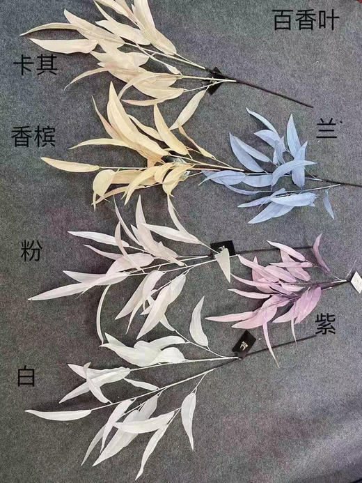 百香叶【运费自理】 商品图1