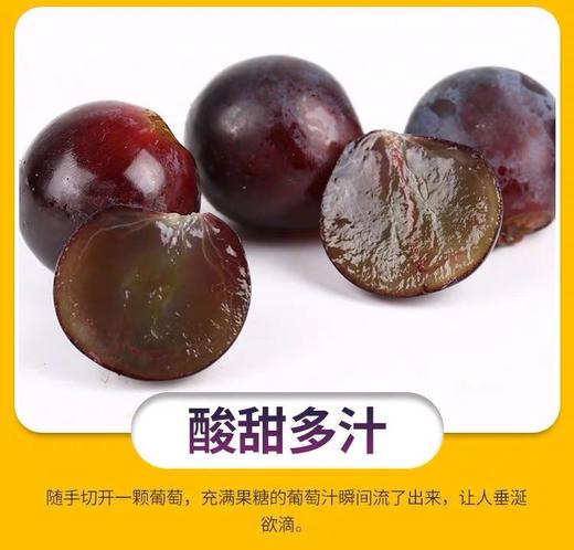 获金奖~【天津茶淀无籽玫瑰香】约4.5斤/箱 商品图2