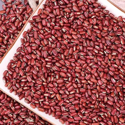 赤小豆/500g 商品图1