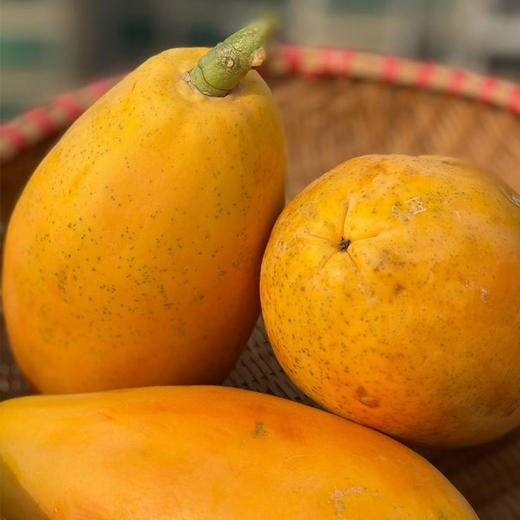 雷州一级树上熟冰糖木瓜 红心木瓜 甜蜜软糯 现摘现发 商品图1