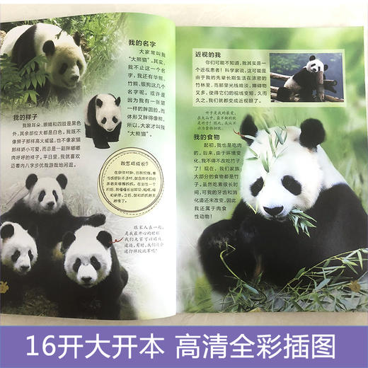 动物王国大探秘全套8册 动物百科全书儿童动物世界小学生课外阅读书籍6-8-10岁中国少儿科普类书籍小学恐龙绘本听海洋生物讲故事书 商品图2