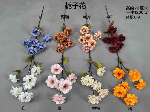 栀子花【运费自理】 商品图0