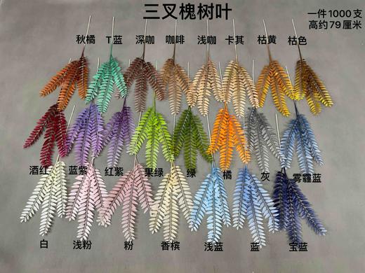 三叉槐树叶【运费自理】 商品图0