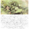 横幅工笔画花鸟白描底稿-HN03 商品缩略图0