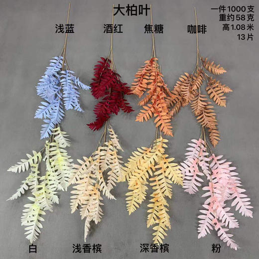 大柏叶【运费自理】 商品图0