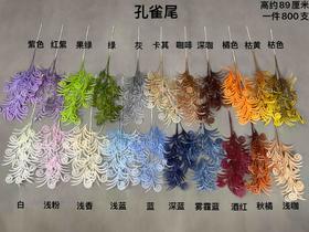 孔雀尾【运费自理】