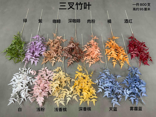 三叉竹叶【运费自理】 商品图0