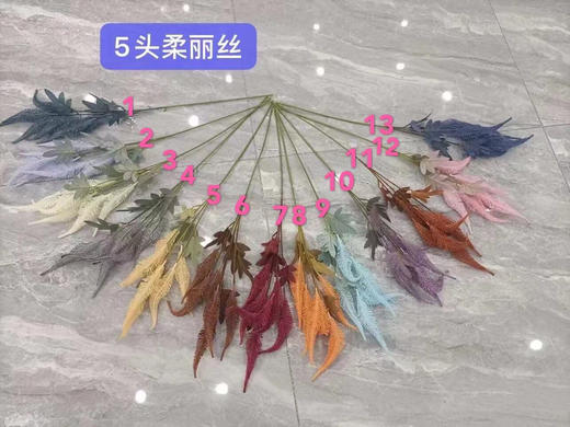 5头柔丽丝【运费自理】 商品图0