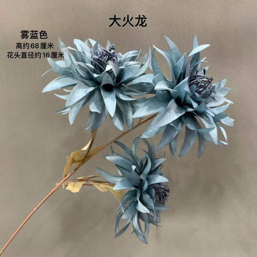 大火龙【运费自理】 商品图3