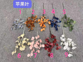 苹果叶【运费自理】