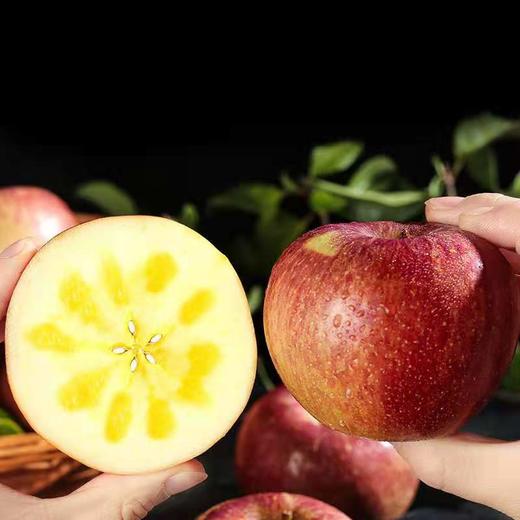 云南红露苹果 商品图3