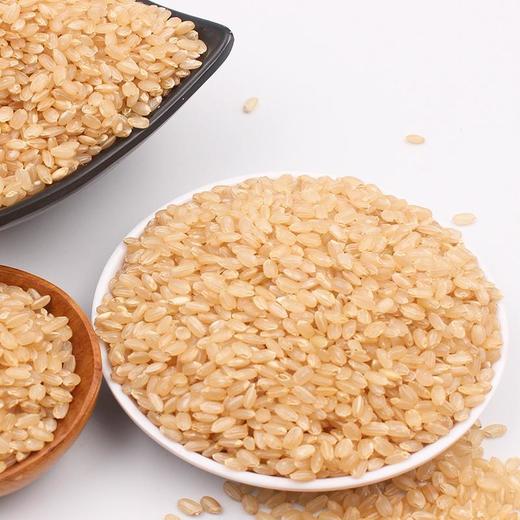 糙米/500g 商品图2