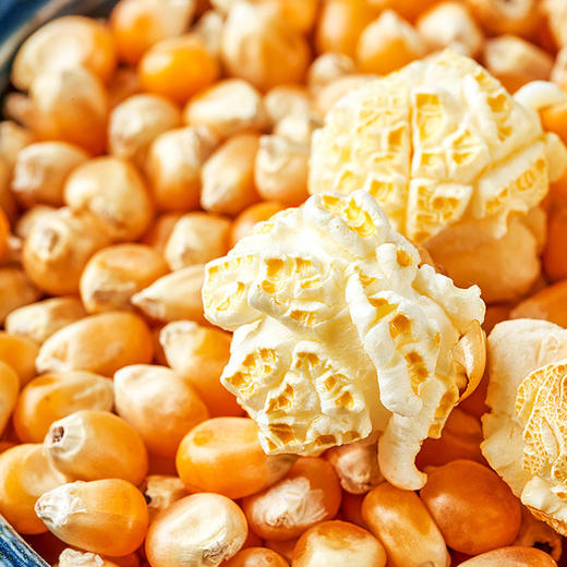 溢田和粮爆裂玉米100g*5包【爆米花】 商品图1