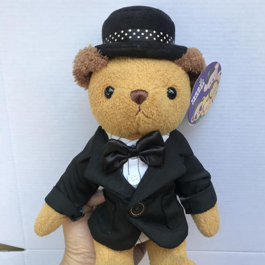 【亏本清仓】Teddy Bear毛绒填充公仔玩偶24cm（不支持无理由退换）[福利品] 商品图0