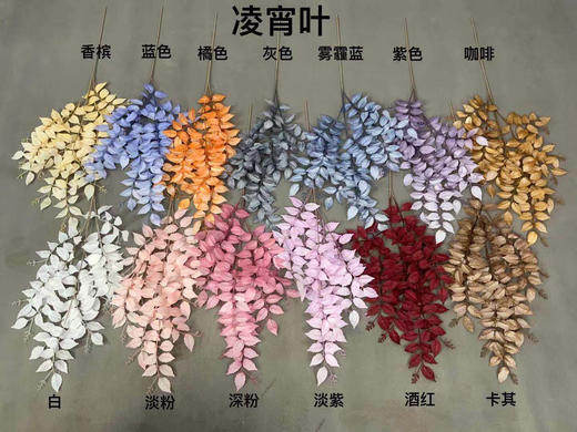 凌霄叶【运费自理】 商品图0