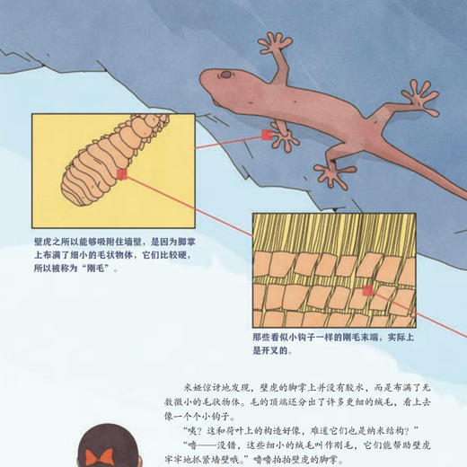 《“院士带你去探索” 科普绘本Ⅱ》（全7册） 商品图8