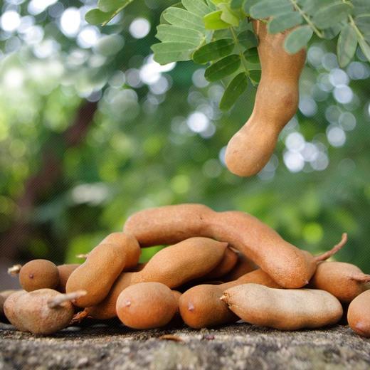 猫哆哩酸角糕356g 商品图3