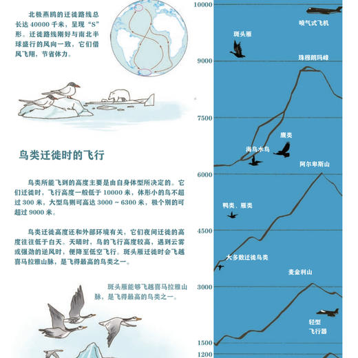 《“院士带你去探索” 科普绘本Ⅱ》（全7册） 商品图13