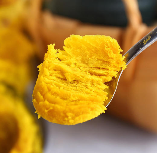 山东贝贝南瓜迷你小南瓜山东贝贝南瓜一件代发 商品图2