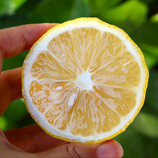 安岳黄柠檬鲜果2/3/5斤大果整箱一件代发包售后 商品图3