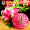 金都一号 红心火龙果 红肉火龙果包售后支持一件代发 商品缩略图0
