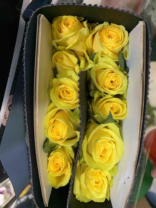 月光漫步黄玫 商品图4