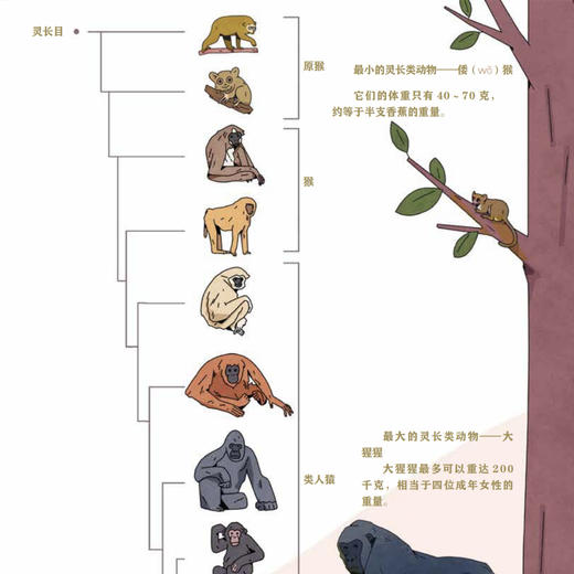 《“院士带你去探索” 科普绘本Ⅱ》（全7册） 商品图10