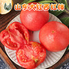 顺丰一件代发普罗旺斯西红柿番茄水果蔬菜爽口多汁产地直发包售后 商品缩略图0