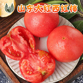 顺丰一件代发普罗旺斯西红柿番茄水果蔬菜爽口多汁产地直发包售后