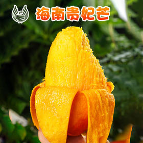 海南贵妃芒现货当季芒果红金龙应季热带水果3/5/9斤整箱贵妃芒果