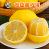 安岳黄柠檬鲜果2/3/5斤大果整箱一件代发包售后 商品缩略图0