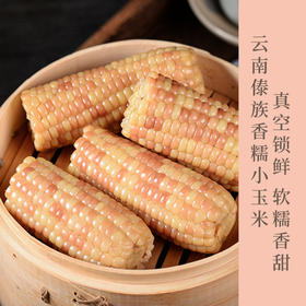 云南香糯小玉米 软糯清甜 营养饱腹 方便快捷 4斤礼盒装  包邮发出