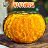 山东贝贝南瓜迷你小南瓜山东贝贝南瓜一件代发 商品缩略图0