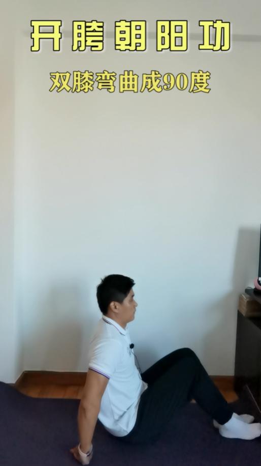 第四式：开胯朝阳功 商品图0