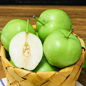 当季 陕西 早熟梨 新鲜青皮梨子现摘香酥梨 香甜 早酥梨