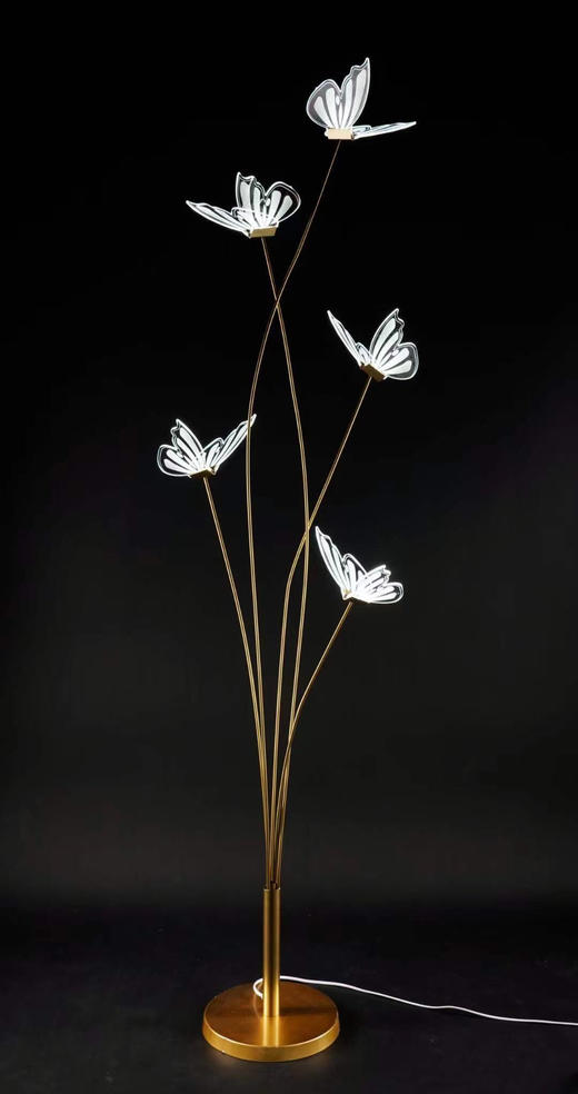 5头蝴蝶路引【运费自理】 商品图0