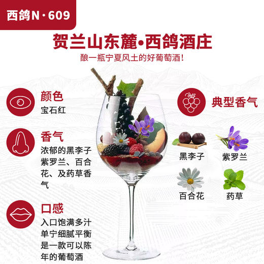 【幸运抽奖】西鸽N609干红葡萄酒礼盒装一支 商品图3