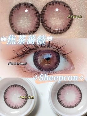 SHEEPCON  焦茶蔷薇 14.5mm【0-1000度 含有525.575】